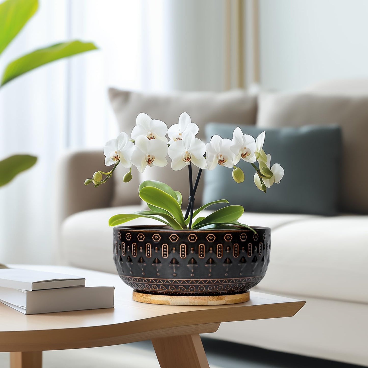 Fivepot Bonsai Planter - 8 Inch Ceramic Pots for Plants Indoor, Shallow Round Succulent Bowl with Drainage Hole and Tray for Cactus, Boho Room Garden House Decor, Birthday Gifts, Black