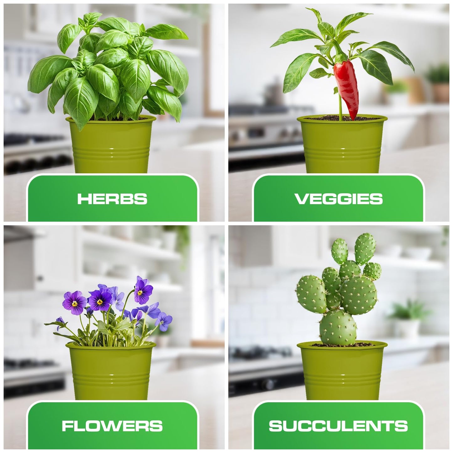 Plexon Herb Planter Indoor Garden Set of 3 with Tray, Metal Herb Pots for Indoor Plants, Round Kitchen Garden Kit Ideal for Windowsill Planter or Countertop, Green Powder Coated