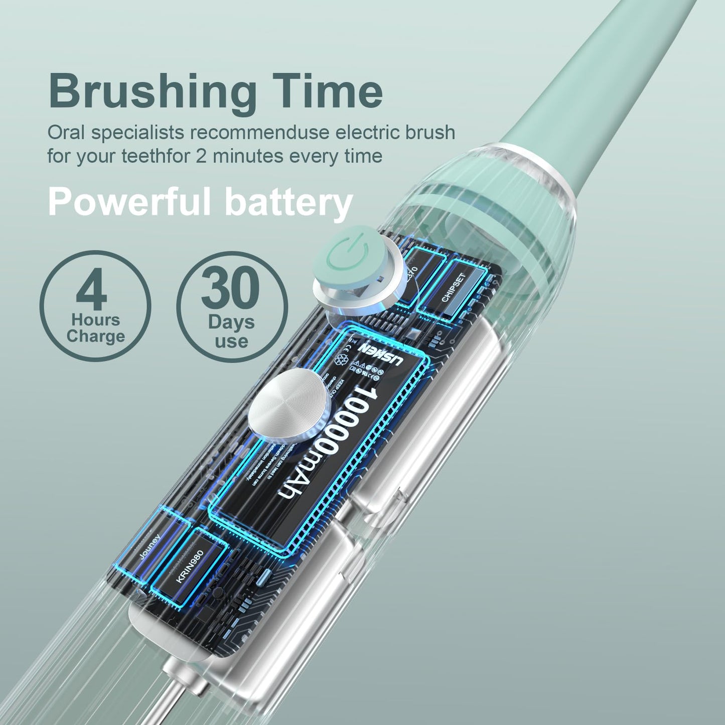 Electric Toothbrush Set with Drying & Sanitizing Holder, 8 Replacement Brush Heads, Transparent Rinse Cup, Smart Timer, USB Rechargeable for Adults