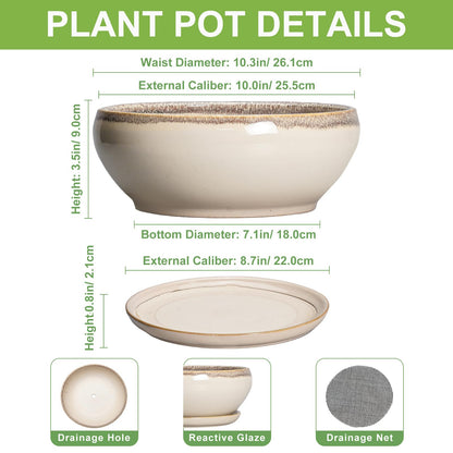 SQOWL Bonsai Tree Pots - 10 Inch Ceramic Succulent Pots, Round Shallow Planter with Drainage Hole and Tray, Bowl Planter for Indoor Outdoor Plants Flowers, Room Decor, Garden Gifts, Beige