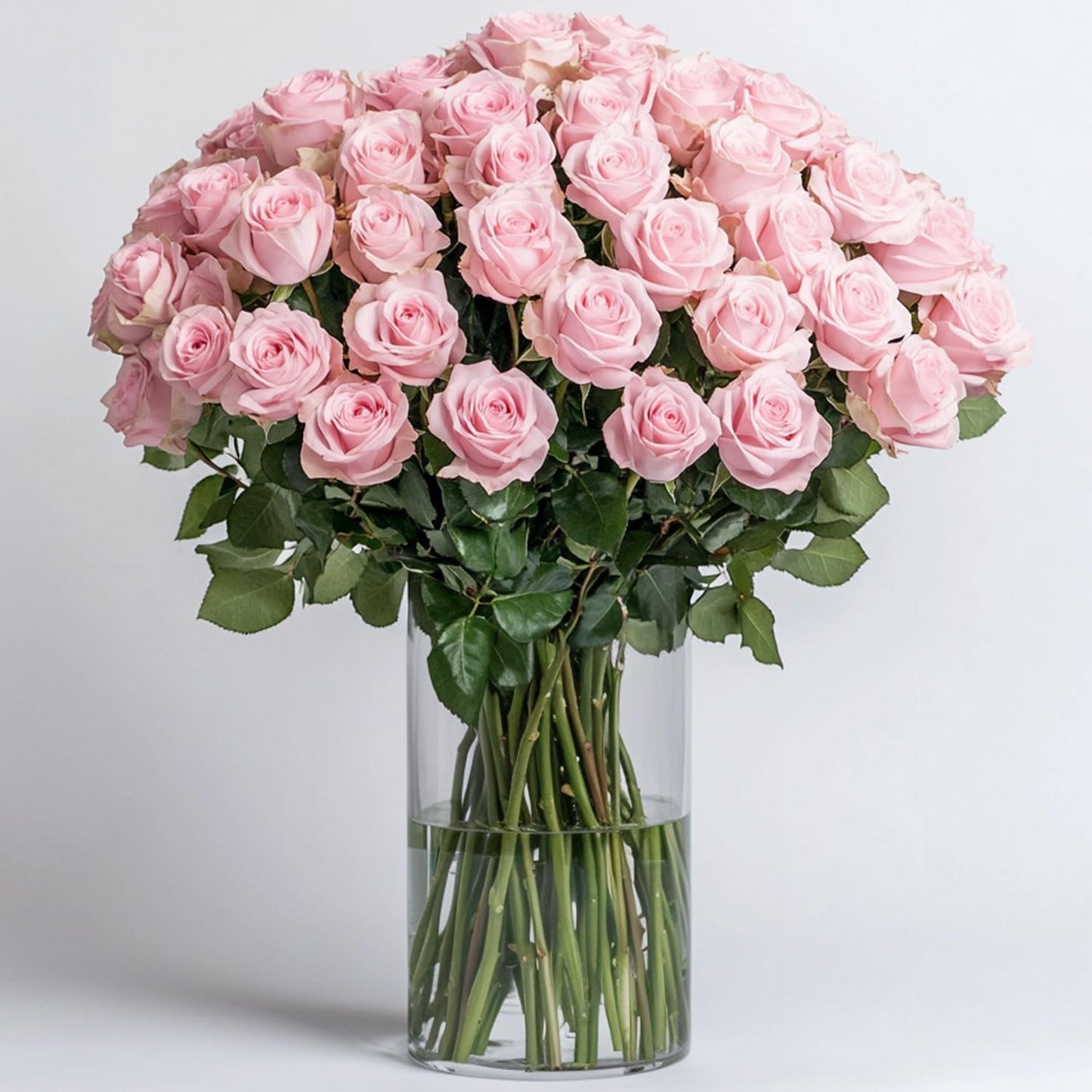 GlobalRose 75 Pink Roses Bouquet - Responsibly Sourced Roses Fresh Flowers - Hand-Picked Flowers Fresh Bouquet for Graduation, Anniversary, Birthday & Special Occasions (3 Bunches of 25 Stems)