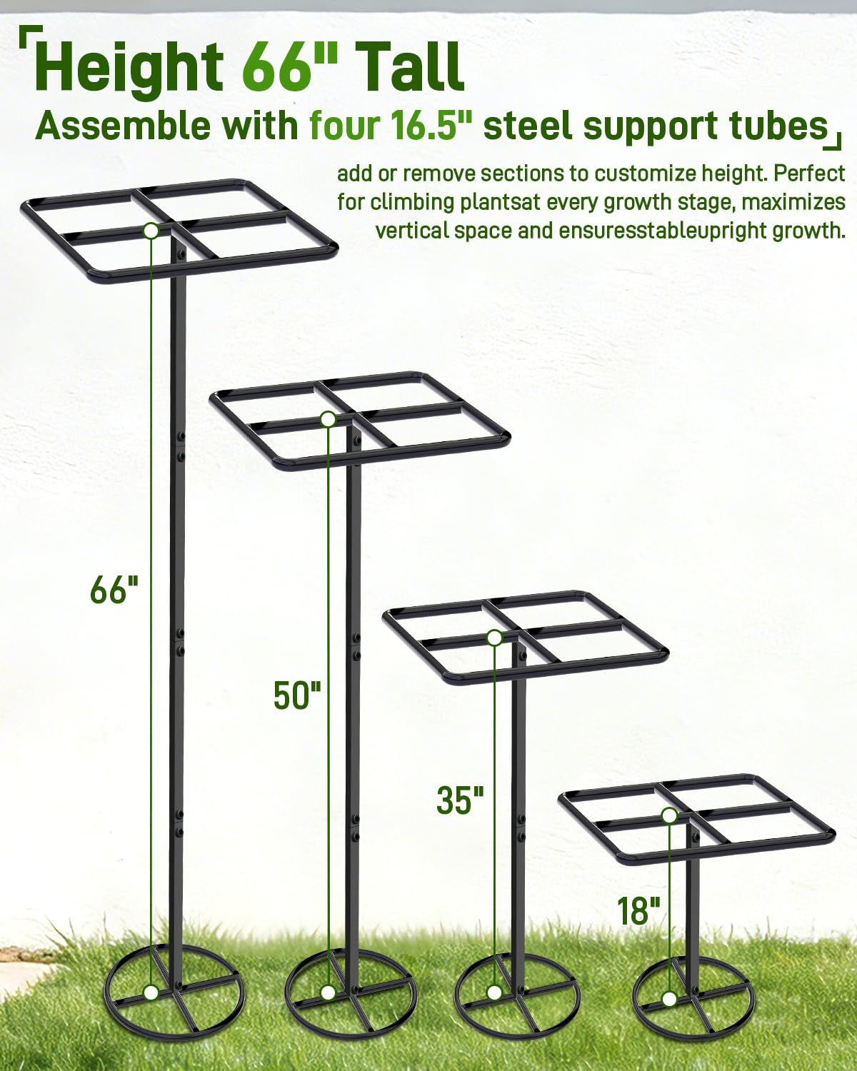 2 Pack 66''×16'' Heavy-Duty Metal Dragon Fruit Trellis, Adjustable Gardening Support Stand for Vertical Climing Plants,Trees,Cactus Garden Outdoor Indoor Potted Support
