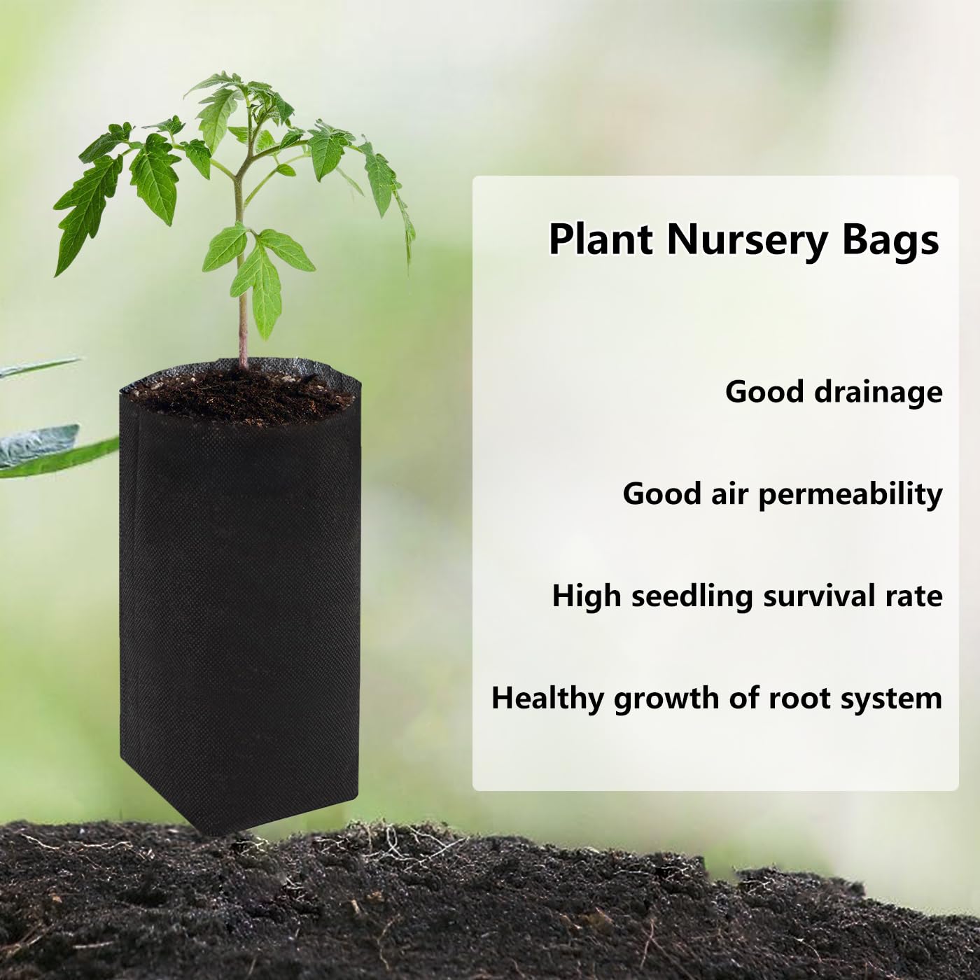 Belit 100 Pcs 13.5" H Nursery Grow Bags, Non-Woven Plants Pots Container for Starting Deep Rooted Plants Vegetable, Flower, Seedling Tree, Black