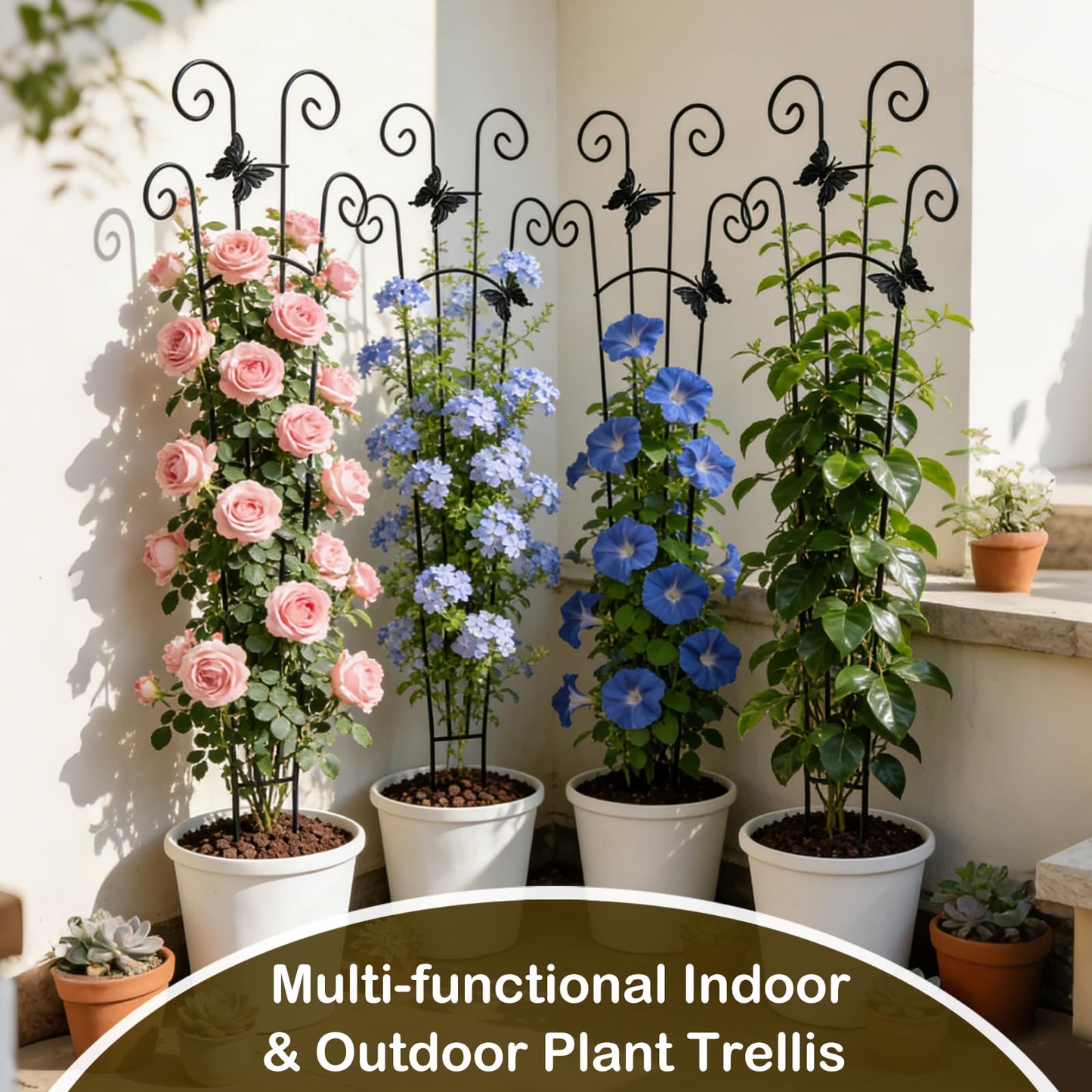 Trellis for Climbing Plants Indoor 4 Pack 30 Inch,Rustproof Metal Garden Trellis for Potted Plants,Sturdy Houseplant Support Indoor Outdoor for Ivy Pothos Monstera Hoya Flower Vine ﻿ ﻿ ﻿ ﻿