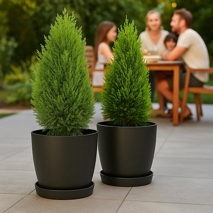 Home Garden Ornaments Plant Pots Indoor, Indoor Plant Pot - Decorative Flower Pots with Mat Surface and Plant Pot Saucer (Diameter: 16cm, Colour: Black)