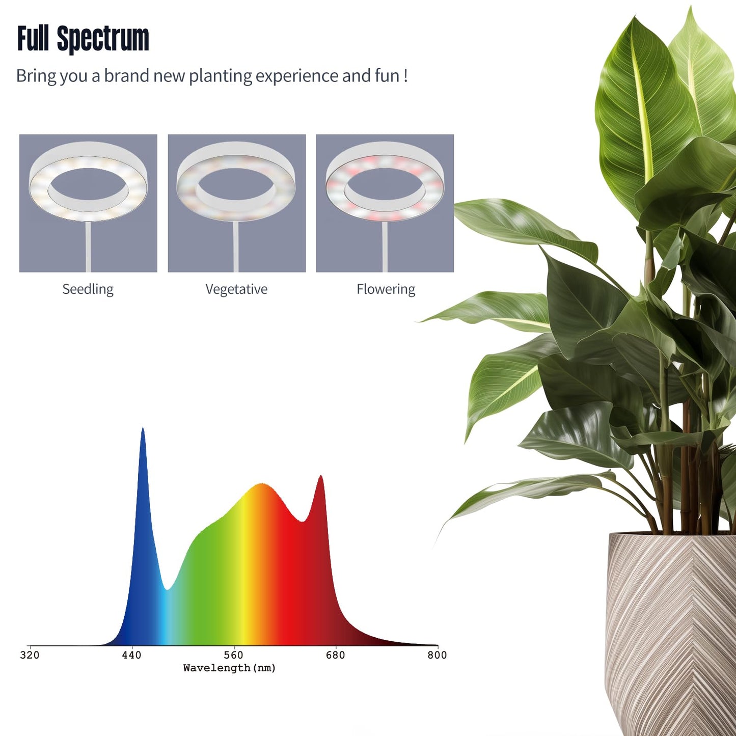 GLOWRIUM Grow Lights for Indoor Plants, 36W Full Spectrum 2-Head LED Plant Light with Stand, Adjustable Height, 3/9/12H Timer, 6 Dimmable Levels & 3 Lighting Modes (White-Double Head)