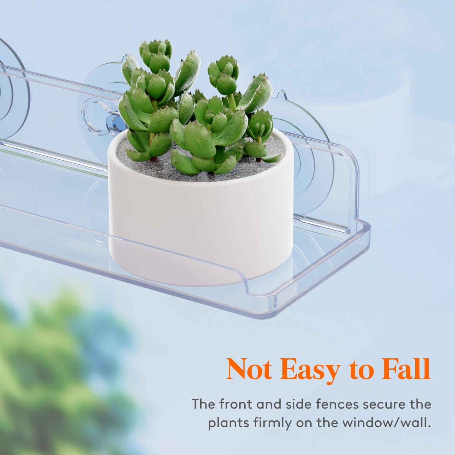 Lifewit Window Plant Floating Shelves 14.6x3.6, 2 Pack Acrylic Suction Cup Shelf, Window Sill Extender for Indoor Succulent Plants, Micro Greens, Seed Starter Pots, Herb Planters 37 x 9 cm/14.6x3.6