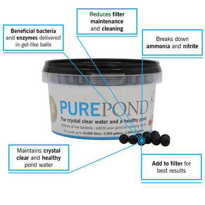 Evolution Aqua Pure Pond – Beneficial Bacteria for Ponds | Pond Bacteria Treatment & Healthy Water Maintenance for clear pond | Aids biological filtration and Fish Safe Pond Equaliser | 500ml