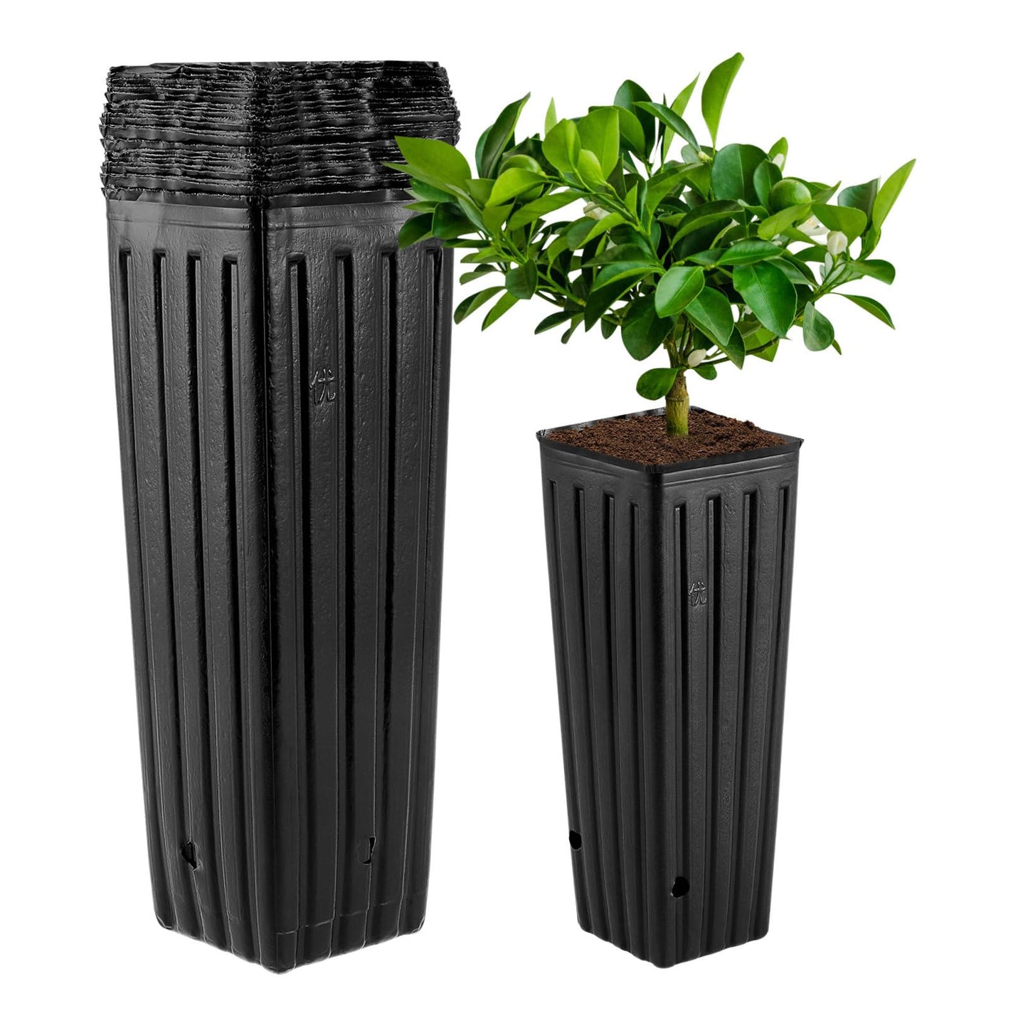 YARNOW 50 Pcs Tall Nursery Pots Plastic Nursery Pots Deep Nursery Pots Plastic Grow Bags, with Drainage Holes (4.7" W x 11.2'' H)