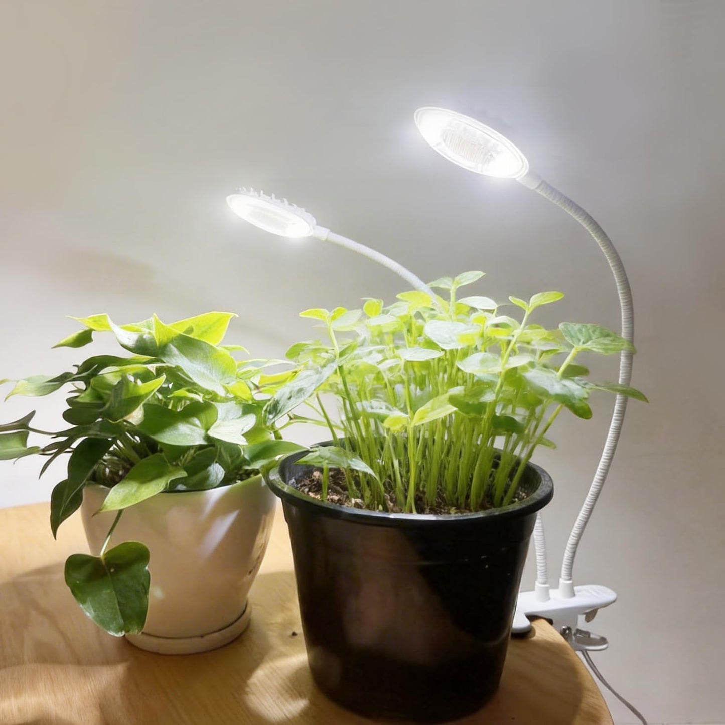 Dual Head Clip Plant Grow Light with Timer, 22W Full Spectrum Adjustable Light, 3/6/12H Auto On/Off, 10 Dimmable Levels, Flexible Gooseneck for Indoor Plants