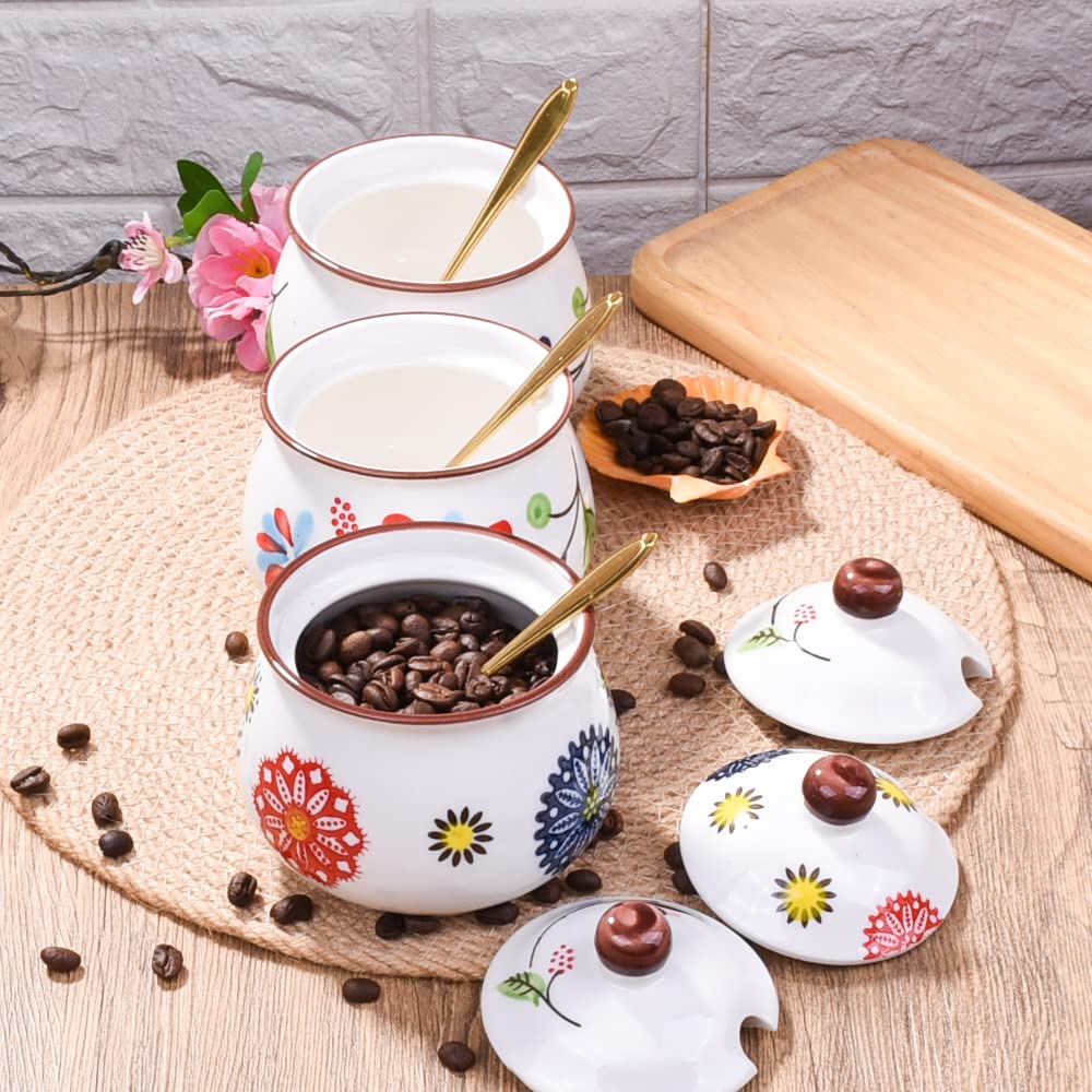 Whitenesser Ceramic Sugar Bowls with Spoons, Salt Jar Seasoning Container with Lid for Home and Kitchen (XYH)