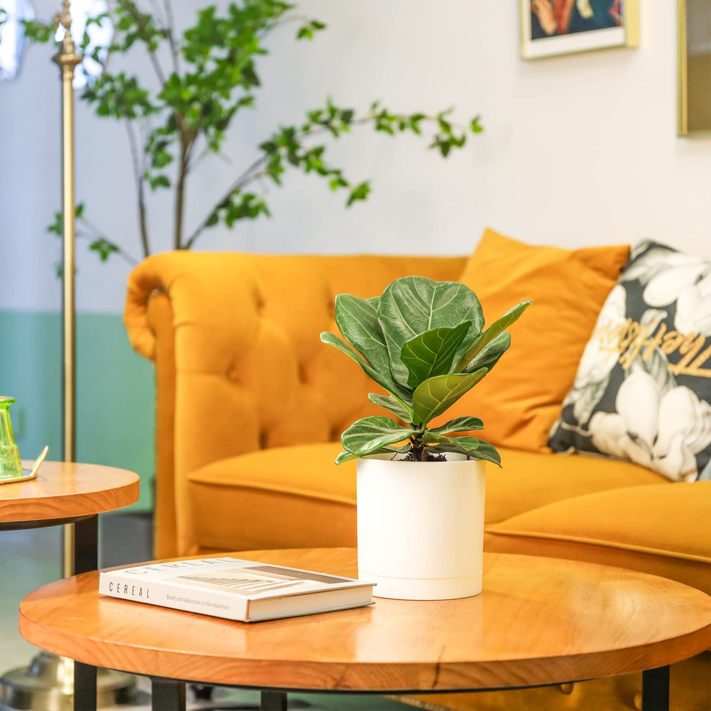 T4U 10/12.5/15/17.5 cm Plastic Flower Pot with Multiple Drainage Holes, Set of 4 Planters, Herb Pot with Saucer, Round Plant Pot for Indoor and Balcony Succulent Cactus, White