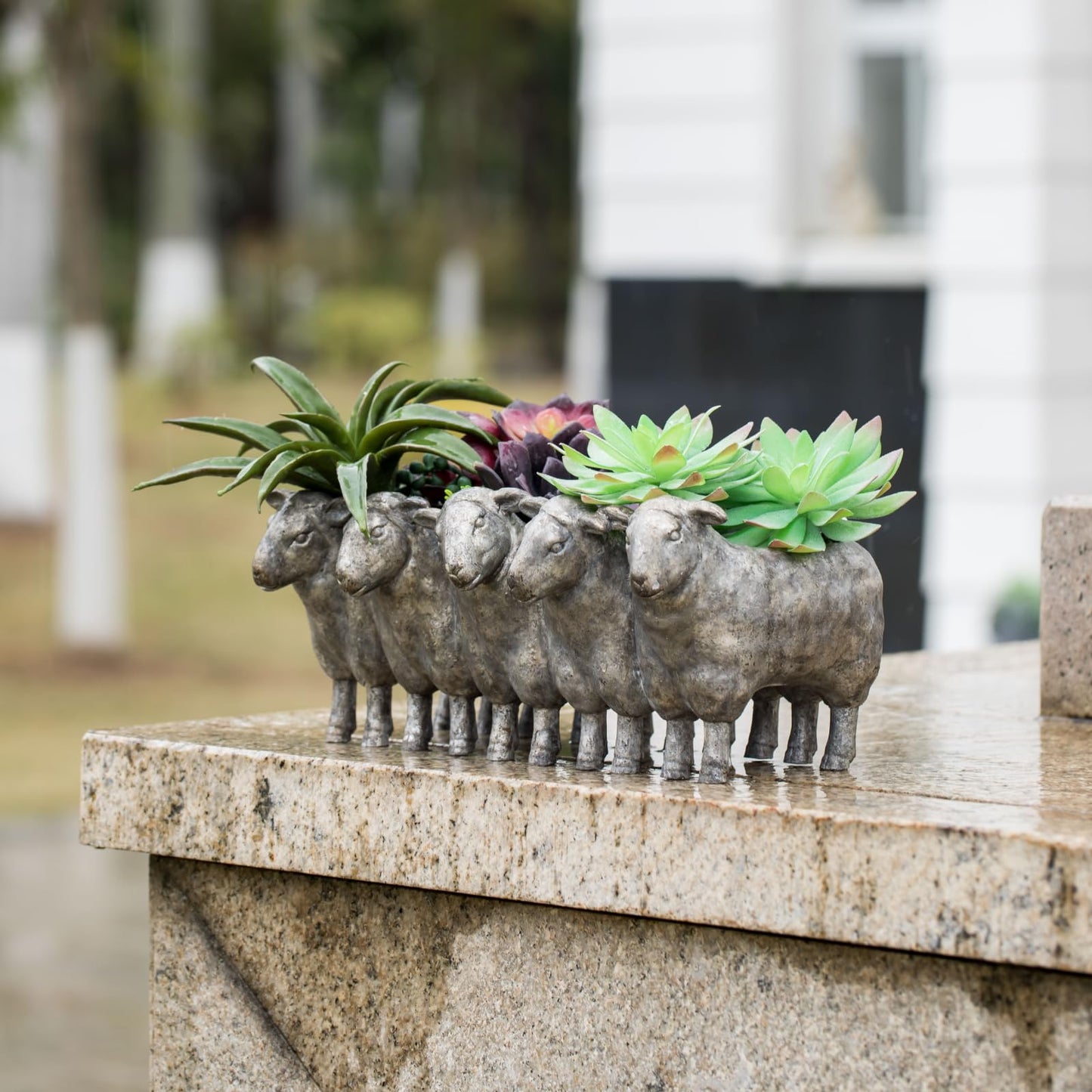 Newman House Studio Resin Sheep Planter Succulent Pot - Creative Animal Garden Pots for Home Garden Office Desktop Decoration 13 * 7.2 * 5.5 Inch
