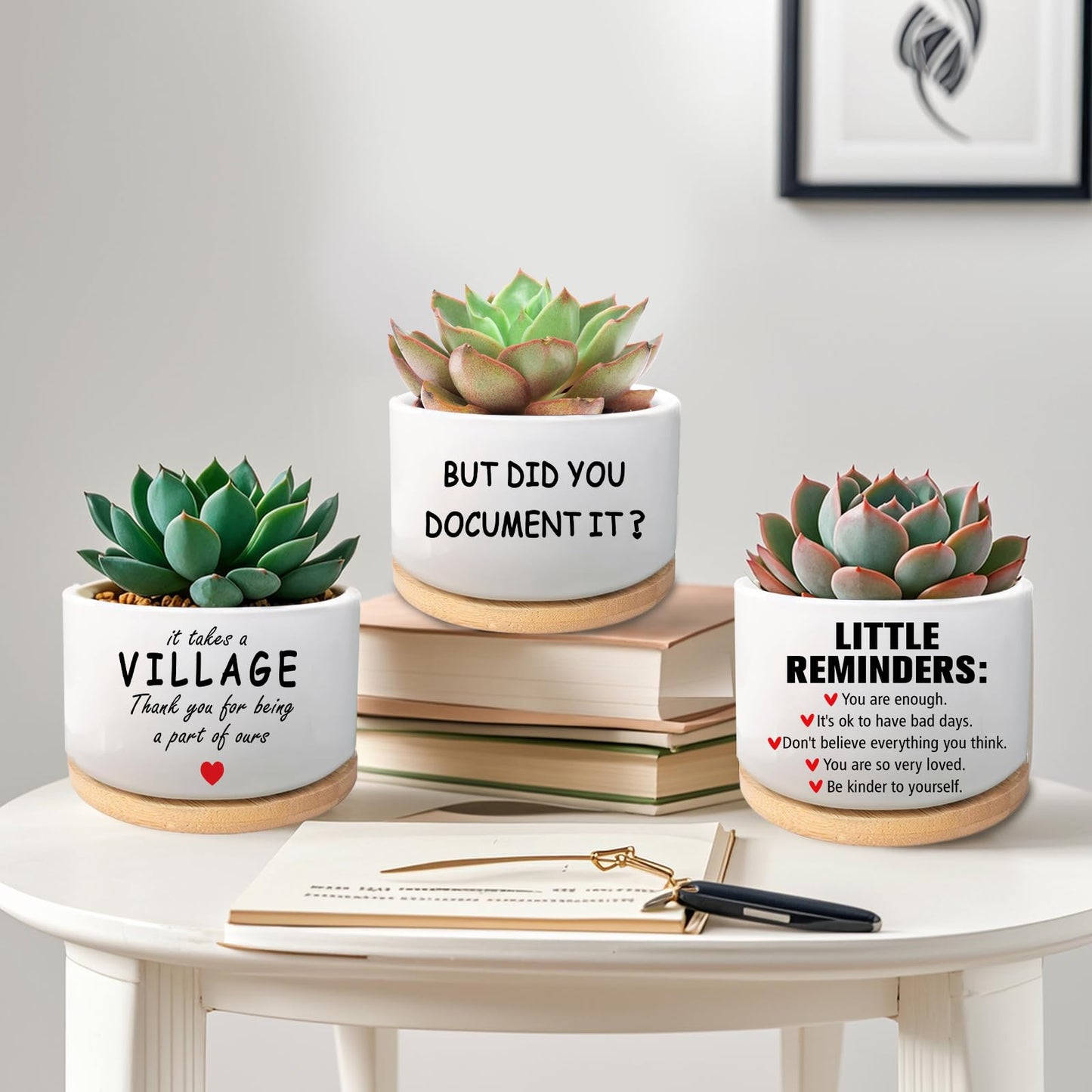 Office Desk Shelf Decor, Succulent Plant Pot, Ceramic Flower Cactus Planter Office Accessories Gifts for Coworker Employee Colleague Women Men Friend, But Did You Document It (Plants Not Included)