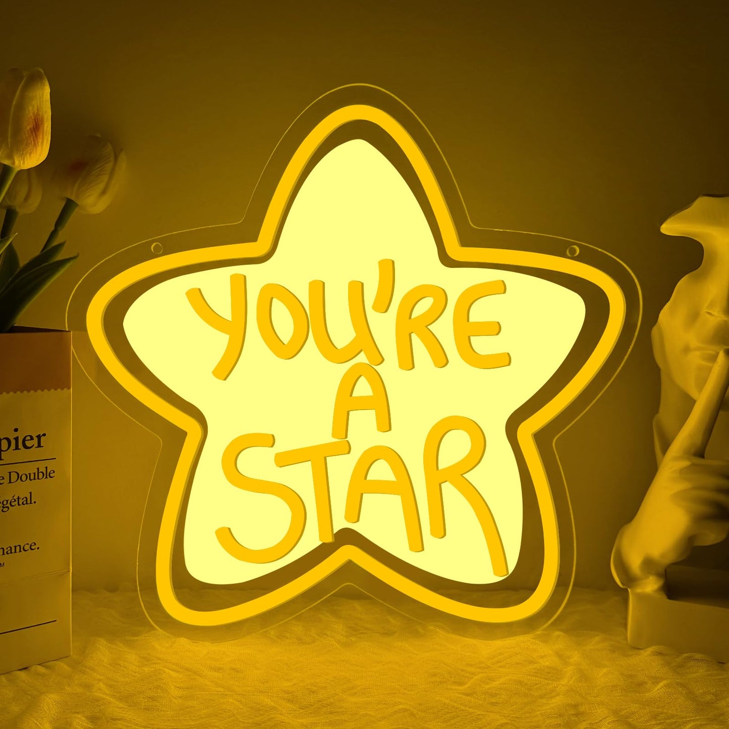 You're A Star Neon Sign,Star Dimmable LED Light Signs for Wall Art Decor,Inspirational Backdrop for Bedroom Club Party Kids' Rooms Classrooms,Gift for Women Man Teen USB Powered（13.8"*11.6"）