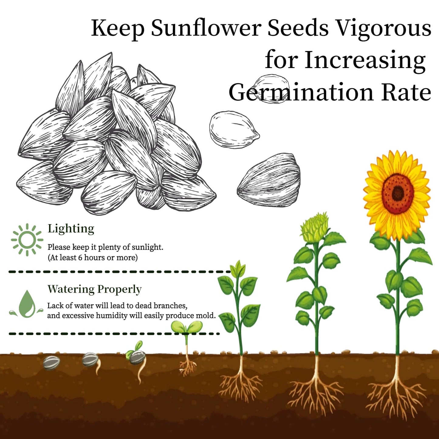 Flower Growing Kits, Windowsill Planting Kit with Planting Bags, Coir Soil & Tools Indoor Gardening Starter Kit with Seed(Sunflower, Zinnias & Marigold) Flower Gardening Gifts for Women & Men