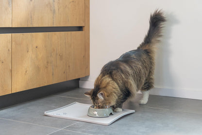 Simon's Cat by Karlie, Simon’s Cat Bowl Mat 40 x 30 x 1 cm,lightgrey