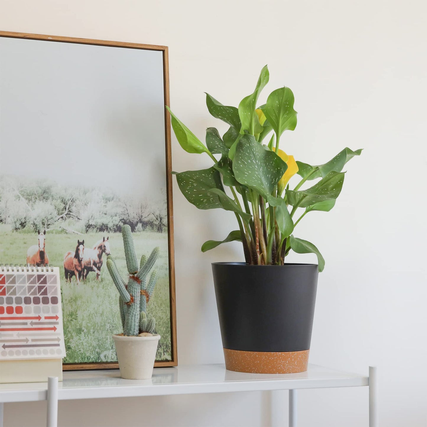 T4U 20 cm Plastic Flower Pot with Watering System, Set of 3 Self-Watering Flower Pot with Saucer, Herb Pot for Indoor and Balcony Garden Plants Succulents Cactus Flower Pot Black