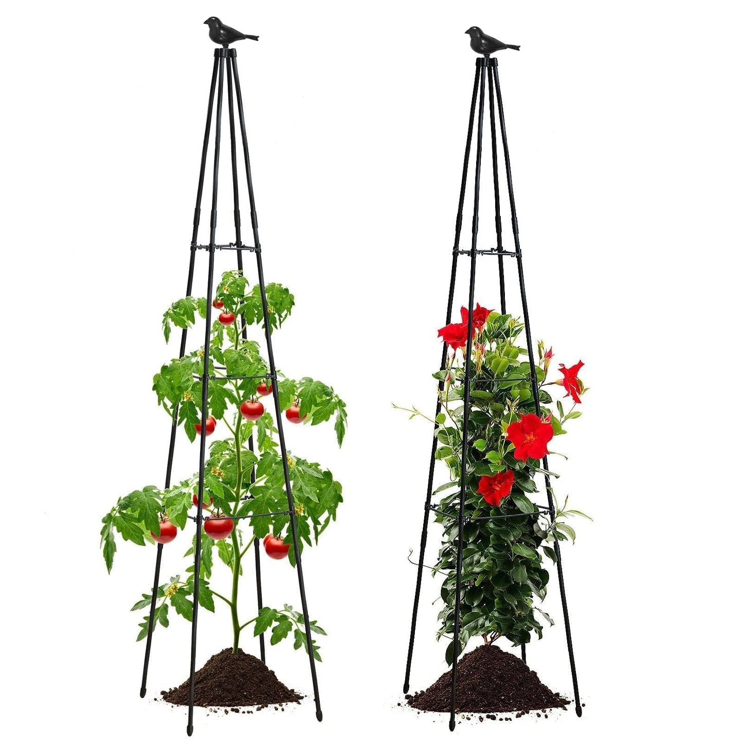 FOLLOOK Cucumber Trellis, 67" Tall Obelisk Garden Trellis for Climbing Plants Outdoor Plastic-Coated Metal Support for Flower Vine Vegetable Tomato Cage Cucumebr Trellis Raised Bed, Black, 2 Pack