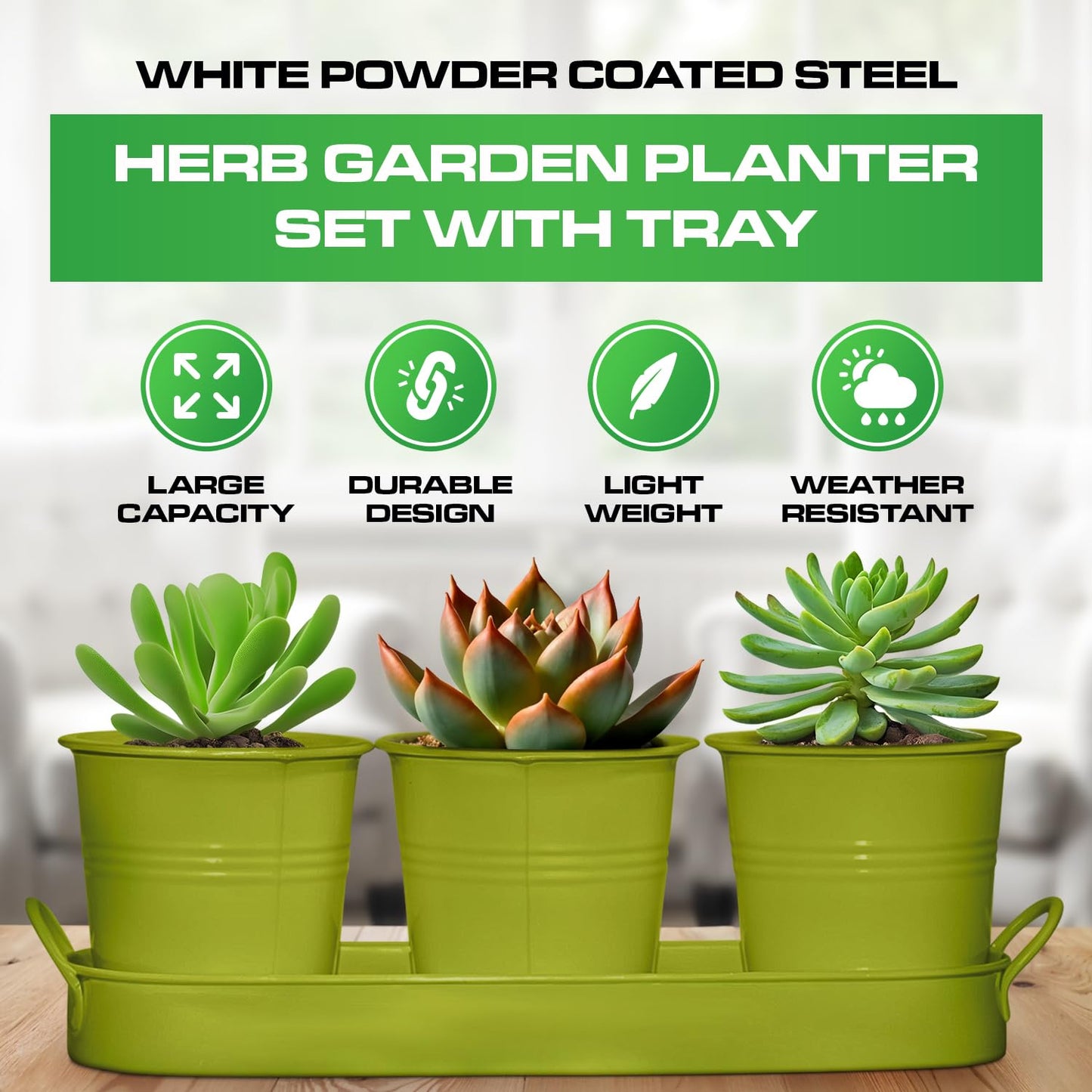 Plexon Herb Planter Indoor Garden Set of 3 with Tray, Metal Herb Pots for Indoor Plants, Round Kitchen Garden Kit Ideal for Windowsill Planter or Countertop, Green Powder Coated