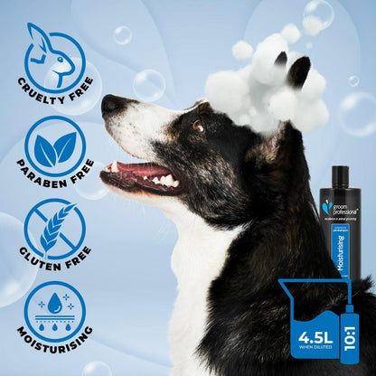 GROOM PROFESSIONAL Coconut Moisturising Dog Shampoo for Itchy Skin - Soothing for Dry Itchy Skin - Reduces Skin Irritation - Coconut Oil to Condition Coat & Remove Dandruff - Gentle for Puppies, 4L