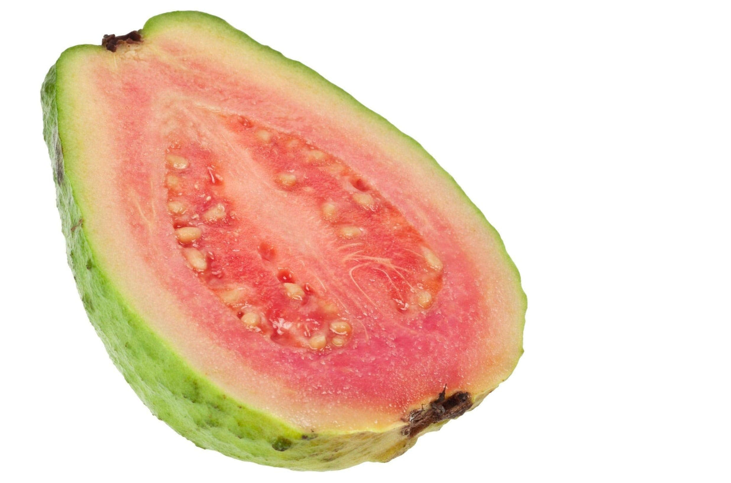Ruby Supreme Guava Tree - Live Tree in a 3 Gallon Pot - Psidium Guajava 'Ruby Supreme' - Edible Fruit Bearing Tree for Gardens and Patios
