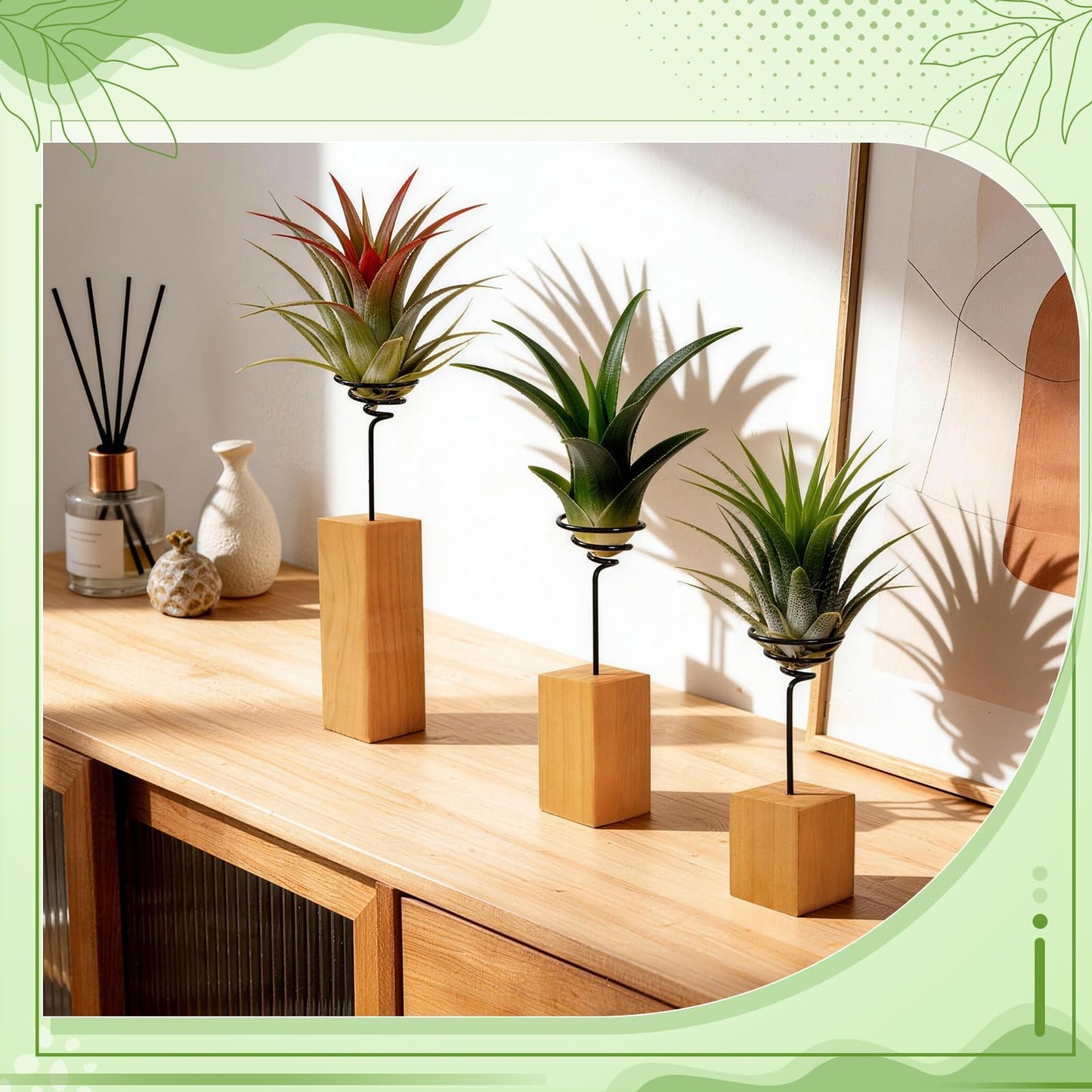 ARQRHTLY 3 Pack Air Plant Holder with Wooden Base, Metal Spiral Tillandsia Stands for Desktop Shelf Display, Decorative 3 Sizes Air Plant Holder for Home Office and Housewarming Gift