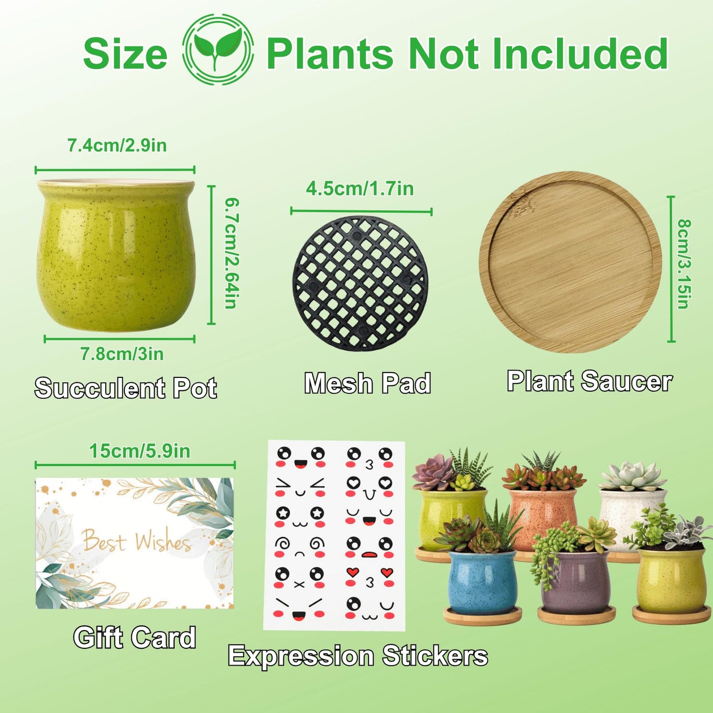 Thorkok 3 Inch Small Succulent Pots 6-Pack Cute Mini Ceramic Pots with Bamboo Tray Cactus Planters for Home and Office Decor Gift for Women, Mom, Plant Lover (Plants Not Included)