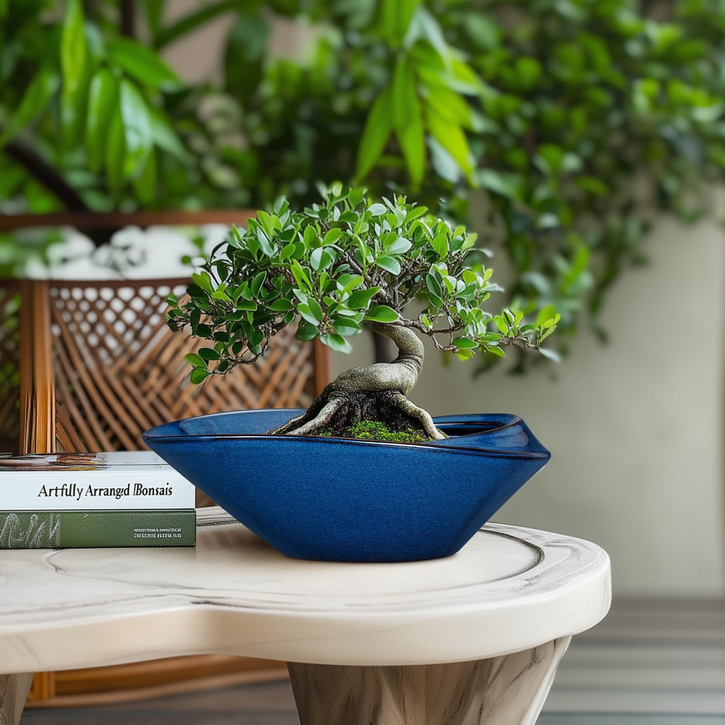 EPFamily Bonsai Tree Pot - Ceramic Planter Pot with Drainage Hole 12 Inch Bonsai Pots Decorative Orchid Succulent Plant Pots for Indoor Outdoor Plants Blue