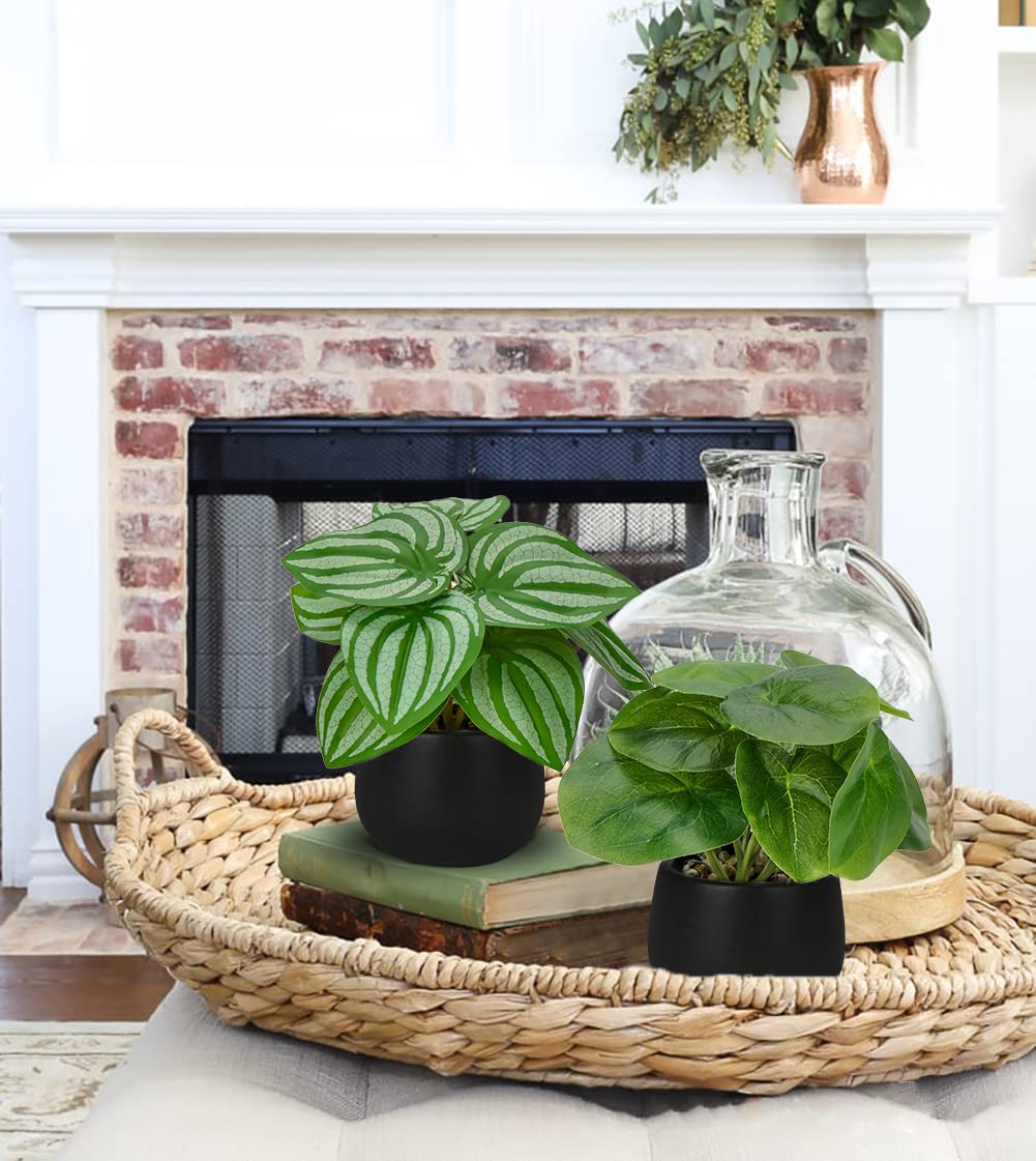 Briful 3PCS Fake Plants Potted Artificial Plants Mini Faux Plants in Black Ceramic Pots Greenery Décor for Home Office Table Room Farmhouse Indoor Decoration
