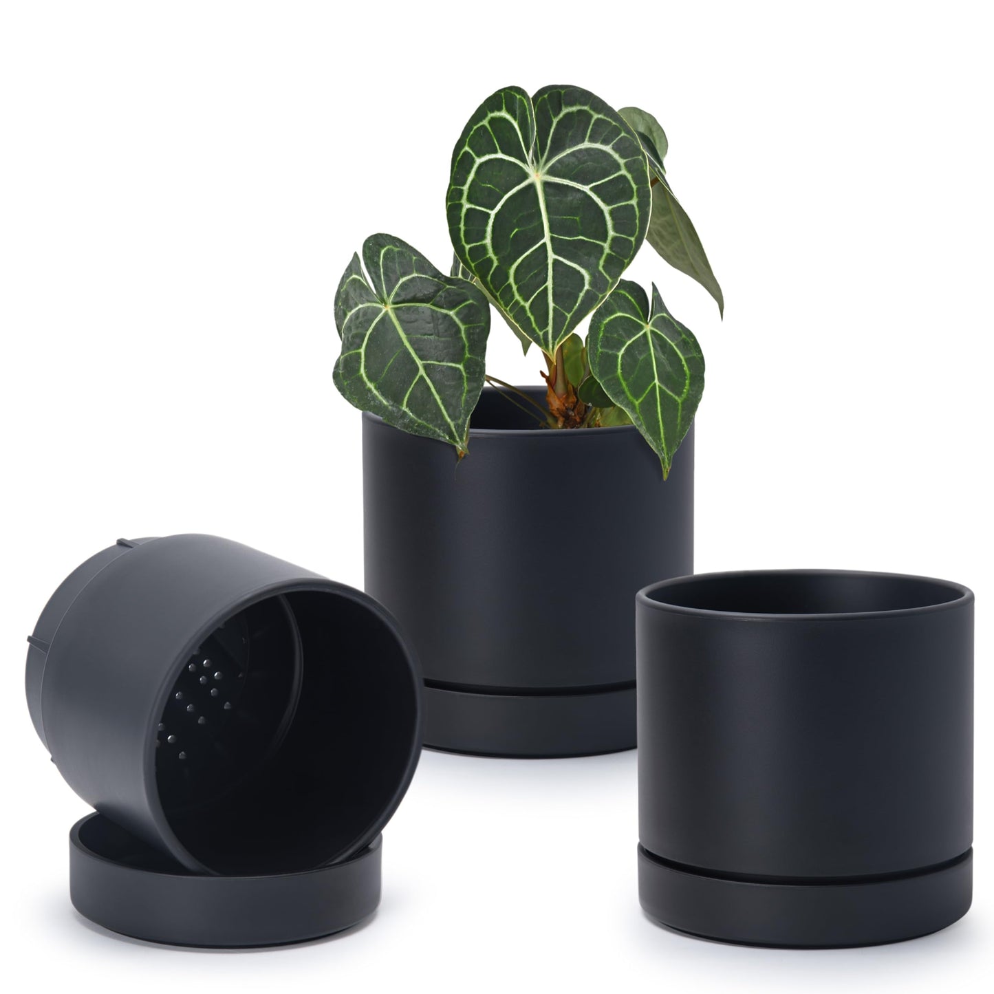 Phoenix Vine 6 Inch Planter Pot with Drainage Hole & Saucer, Deep Water Catch Tray, Straight Cylindrical Round Pot for Plants, Matte Black, Pack of 3, 23-C-S-3