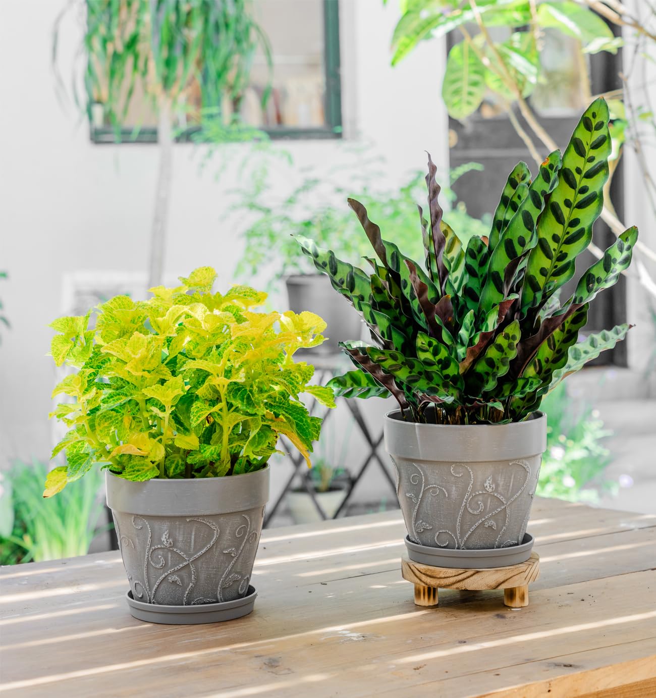 Melphoe Plant Pots Indoor with Drainage & Saucer, 2Pack 7 inch Flower Pots Outdoor Planters for Indoor Plants Garden Home Decor Cactus Succulent, Rigid Plastic (Imitation-Terracotta) Vine-Embossed