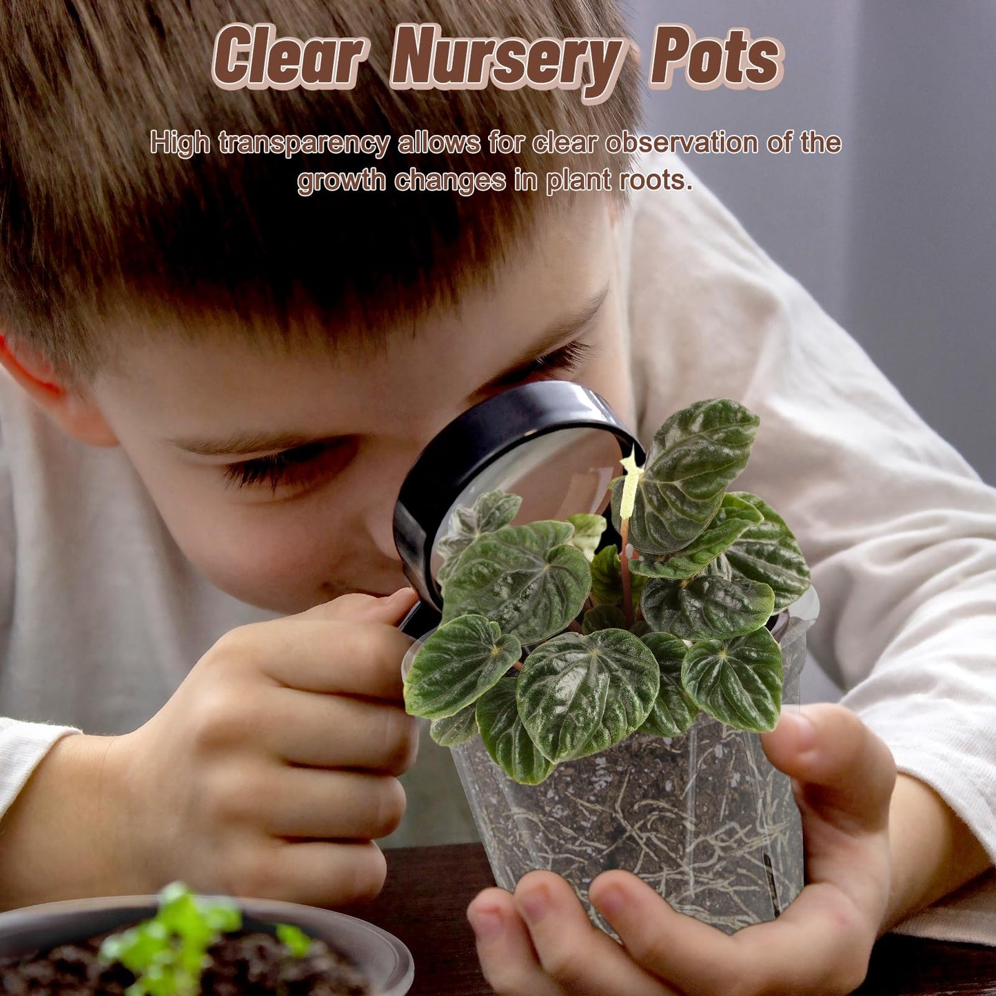 Clear Nursery Pots with Drainage, 30 Pack Transparent Plastic Orchid Planters, 6 Sizes Plant Pots 9.5/8.5/7/6/4.7/4 Inch with 30 Plant Labels for Seedlings, Succulents, Indoor/Outdoor Repotting