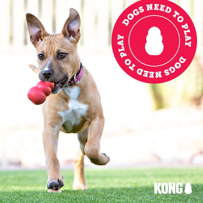 KONG - ZoomGroom Red - Dog Brush for Grooming and Shampooing - For Large Dogs