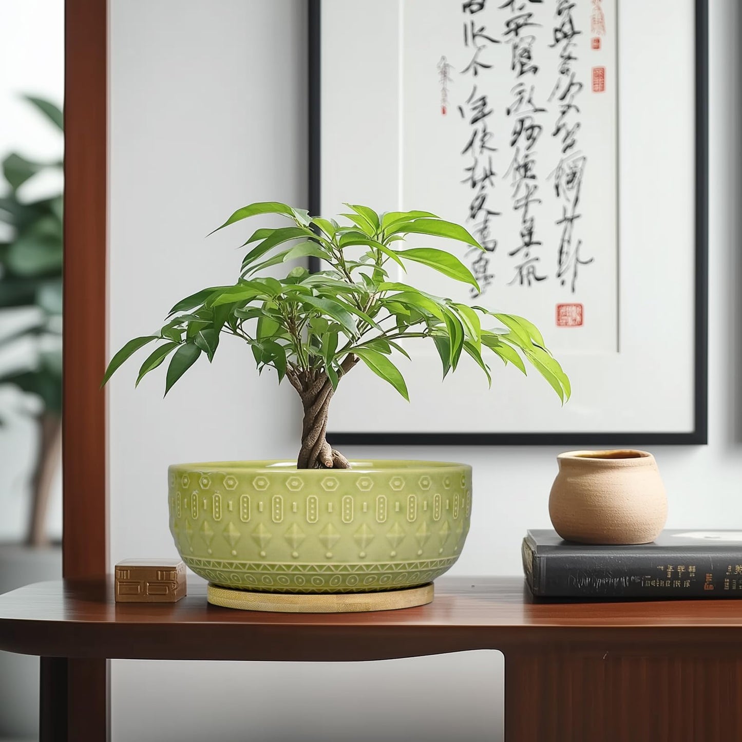 Fivepot Bonsai Tree Pot - 8 Inch Ceramic Succulent Pots with Drainage Hole and Saucer, Boho Round Shallow Planter Bowl for Indoor Plants Flower, Office Decor, Gifts for Women & Men, Green