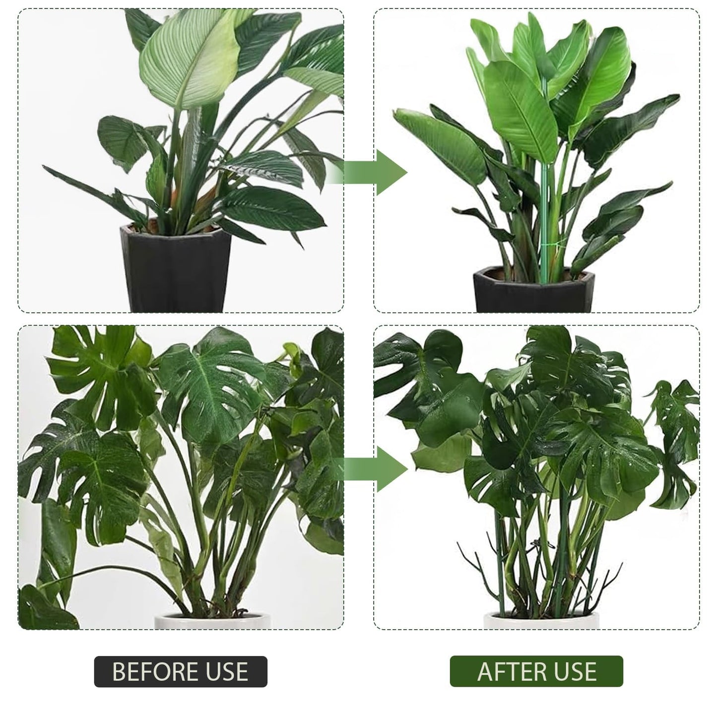 Upgrade Stackable Monstera Plant Support,2026 New Durable Garden Plant Support Stakes for Indoor Outdoor Potted Plants,Garden Accessories Plant Sticks for Vine Training Stem Stabilization (10, Green)