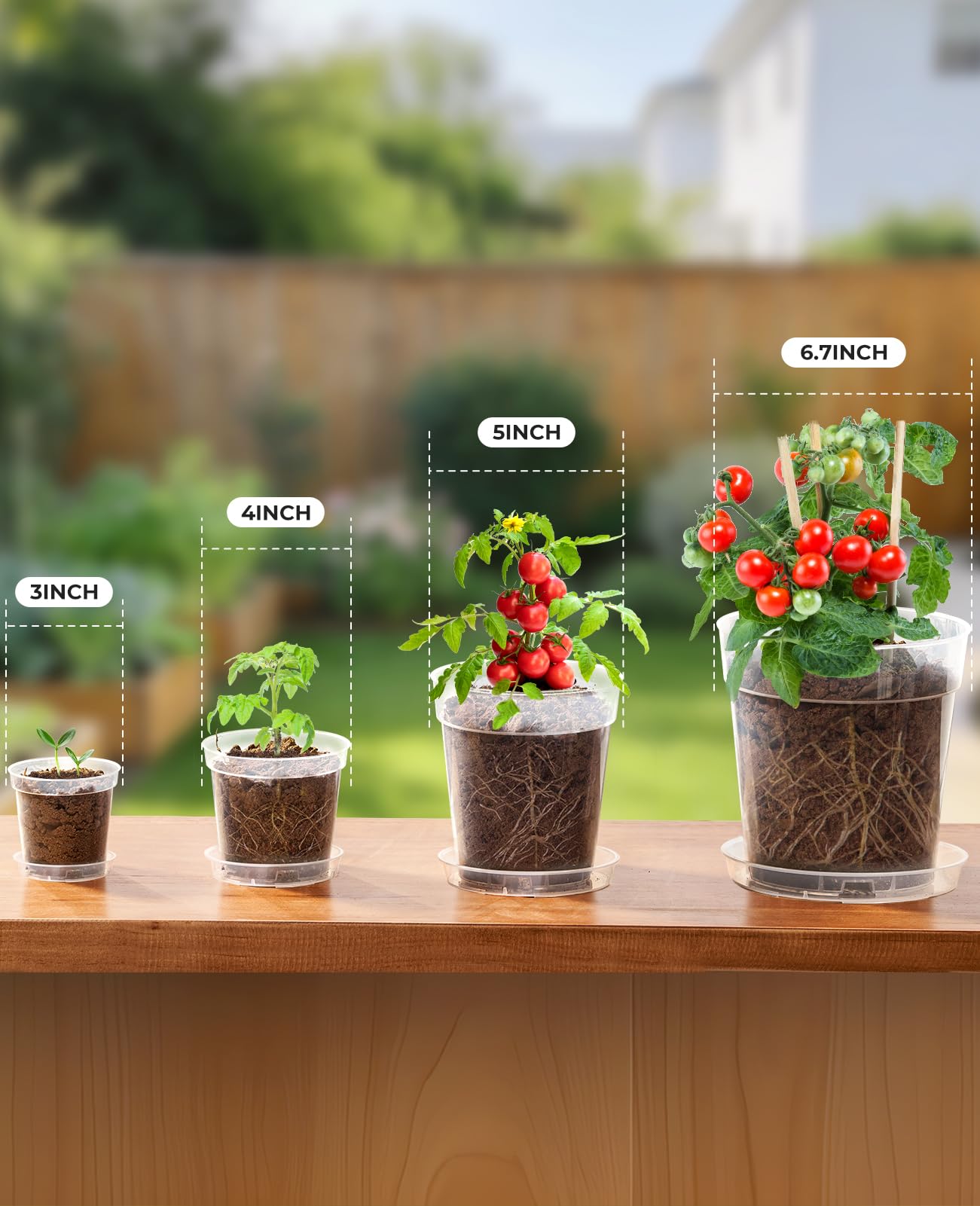 homenote 4 Inch Clear Nursery Pots 30 Pack with Drainage and Plant Saucers, Rigid High Transparency Plastic Nursery Pots for Plants,Thick Walled Planter Nursery Pots with Upgraded Drainage Holes