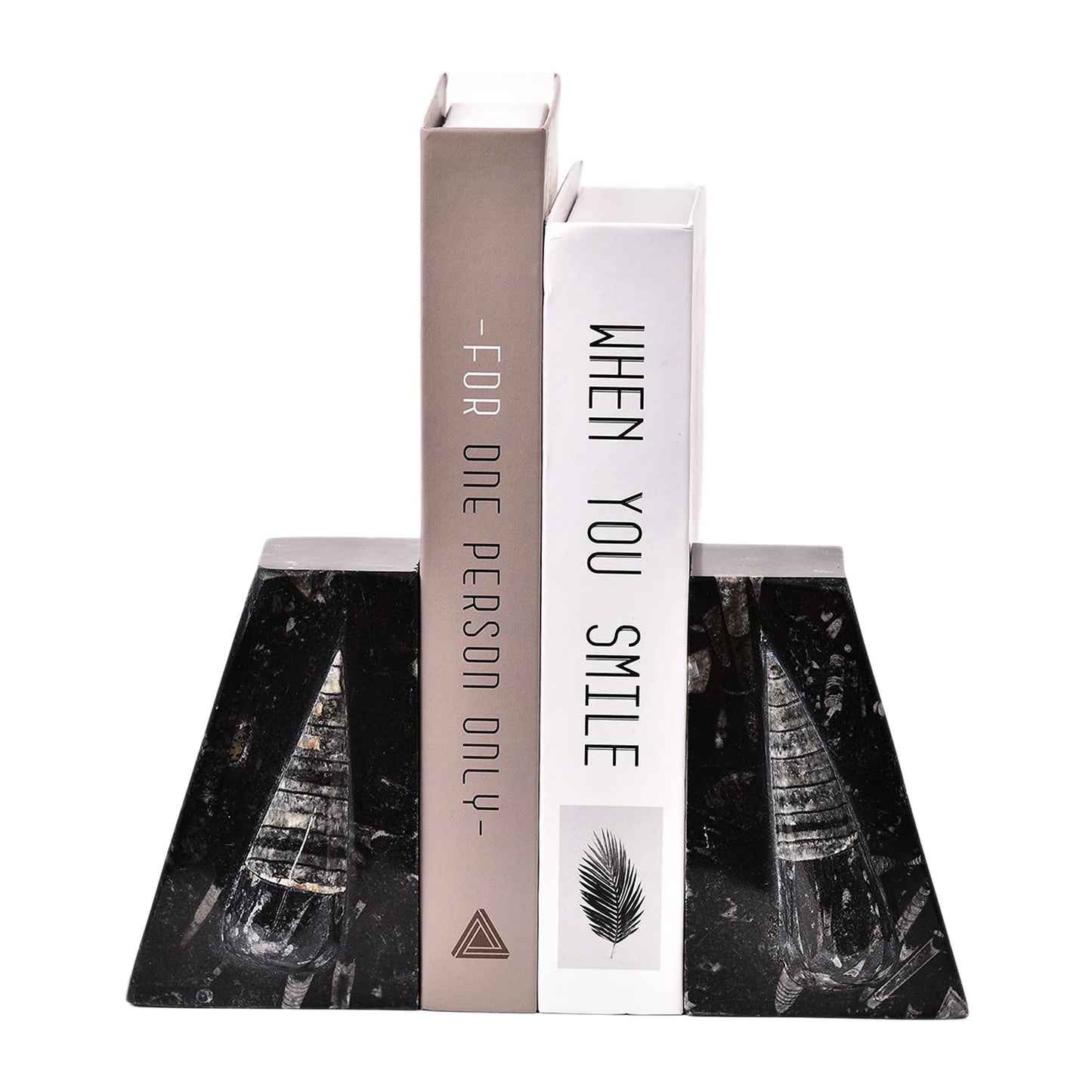 JIC Gem Natural Orthoceras Fossil Bookends-Black Fossilized Wedge Shaped Bookends with Rubber Bumpers for Office and Home Decoration Frome Morocco （1 Pair 4-5lbs ）