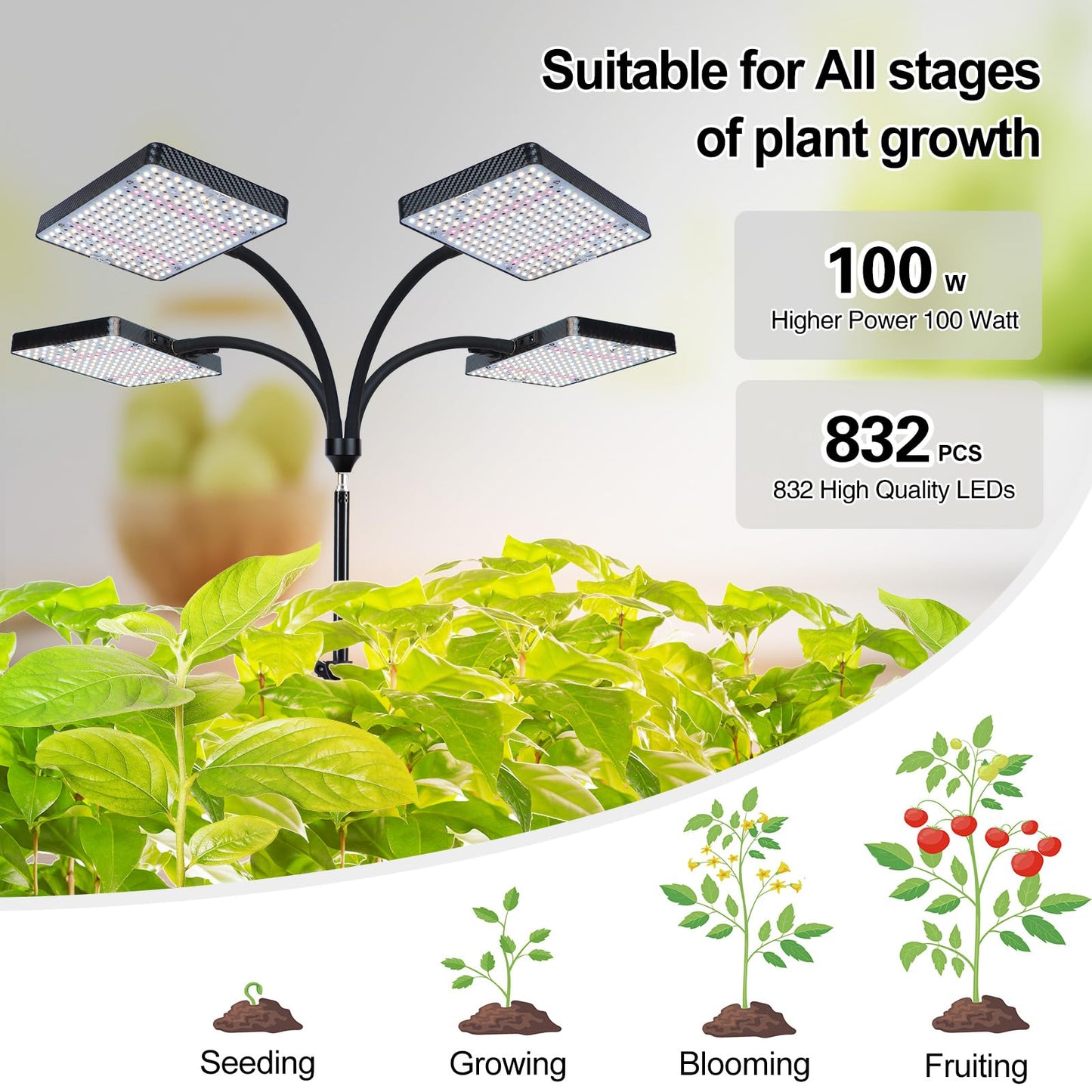 Orchbloom Grow Lights for Indoor Plants 100W, Natural Sunlight Full Spectrum Plant Growing Lamps for Houseplants & Bonsai Tree, 4/8/12/16/20 Hr Timer Plant Light Auto On/Off Everyday