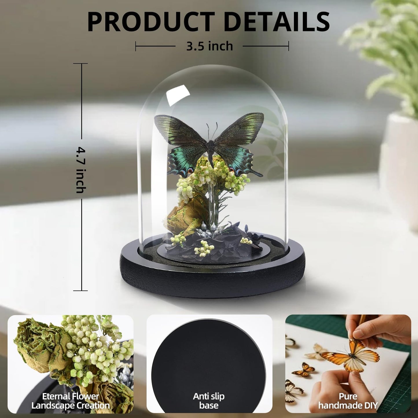 GDBEH Handmade Butterfly Specimen Boxes Glass Cover Ornaments, Dried Flowers, Plants, Holiday Decorations Birthday Gift for Women (Green-Banded Queen Butterfly)