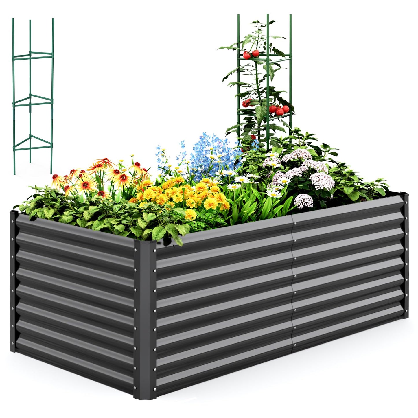 Quictent Galvanized Raised Garden Bed 6x3x2 Ft Metal Planter Box Bottomless for Backyard Outdoor, Include 1 pc Tomato Cage (Dark Gray)