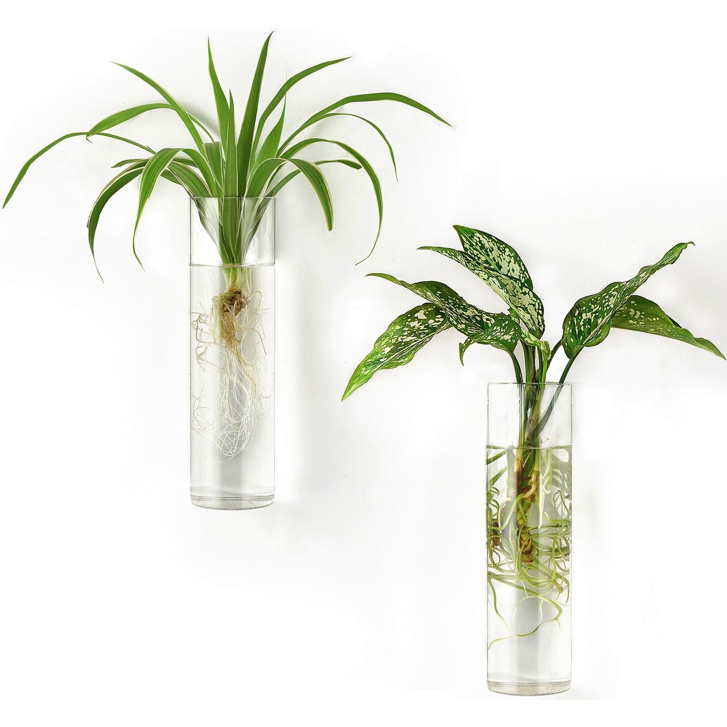 Mkono Propagation Station Wall Planter Hanging Glass Tubes Flower Vase for Hydroponics Plants, Bathroom, Home Office Living Room Decor Gift, Cylinder Set of 2(Plants not Included)