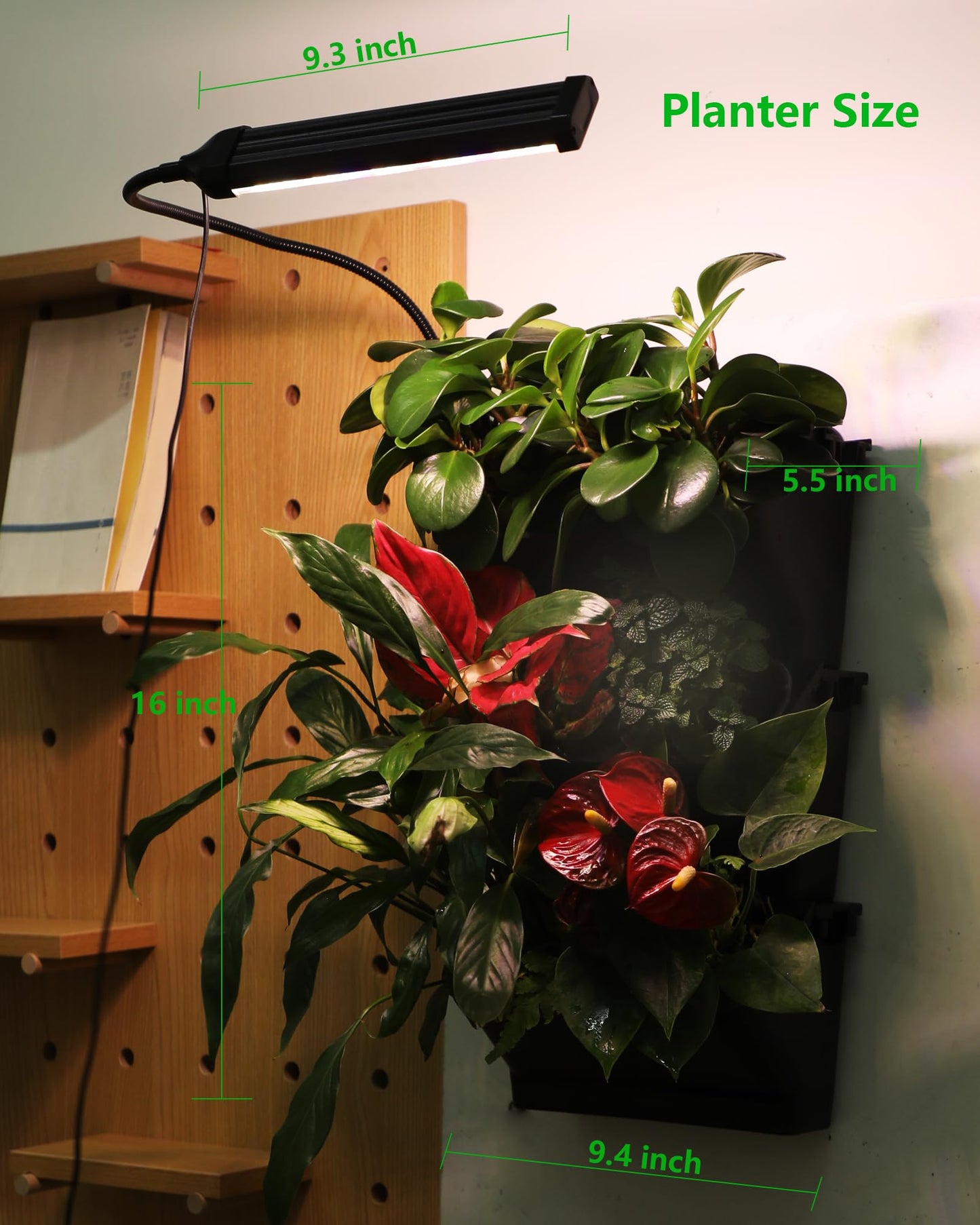 DPROOTS Wall Planters for Indoor Plants with Grow Light & Self Watering System, 6-Pot Vertical Garden for Herbs, Vegetables, Flowers, Succulents, Includes Screws & Expansion Pipes