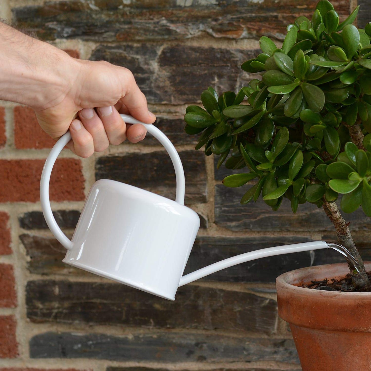 CKB Ltd® Small 1.1L Indoor Watering Can - Chalk White Coloured Galvanised Powder Coated Steel - For Houseplants Contemporary Metal Design With Narrow Spout And High Handle (Chalk)