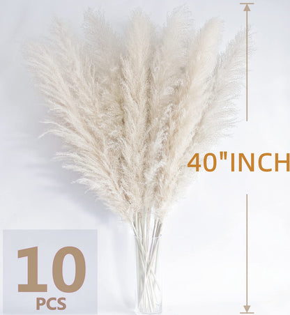 Bannifll 46 Inch 10 Stems White Pampas Grass Decor Tall, Dried Plants, Natural Dried Flowers for Wedding, Natural Home Decor, Wall Grass, Glam Decor