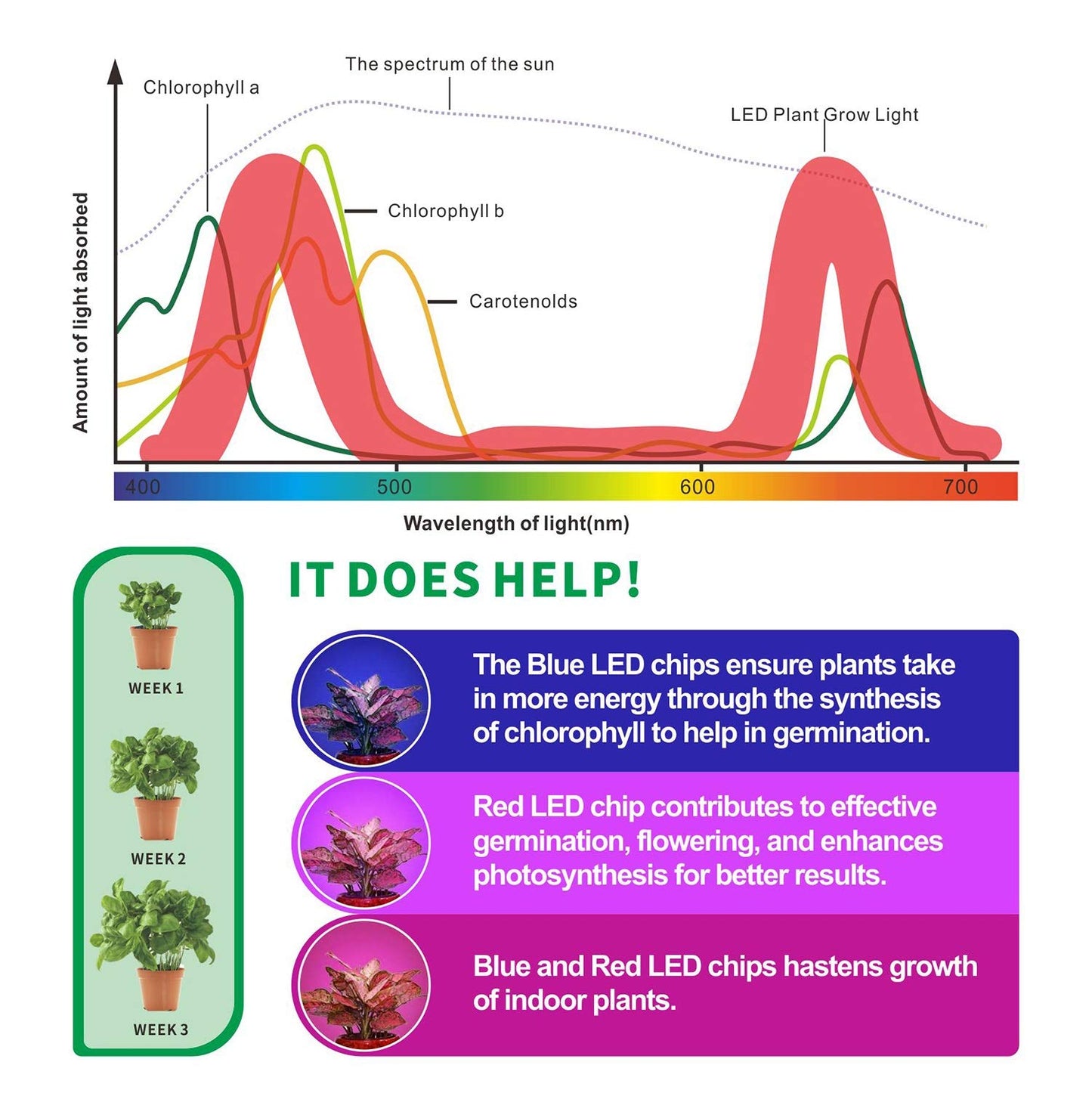 RiverLux LED Grow Light for Indoor Plants, 360 Degree Adjustable Gooseneck with Blue Red LEDs, Clip Plant Growing Lamp, Succulent Light, 5-Level Dimmable, with 3/9/12H Auto On Off Timer