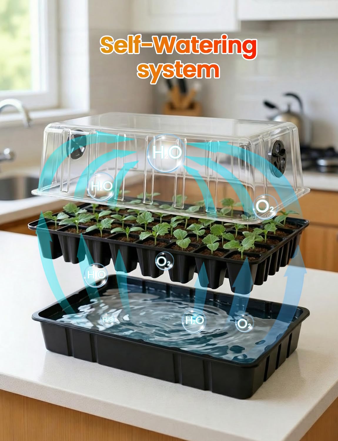 MetryGrow 48W Full Spectrum LED Grow Light Seed Starter Kit, 80-Cell Tray with 30W Heating Mat & Adjustable Dome, Waterproof Germination System for Healthy Indoor Seedlings