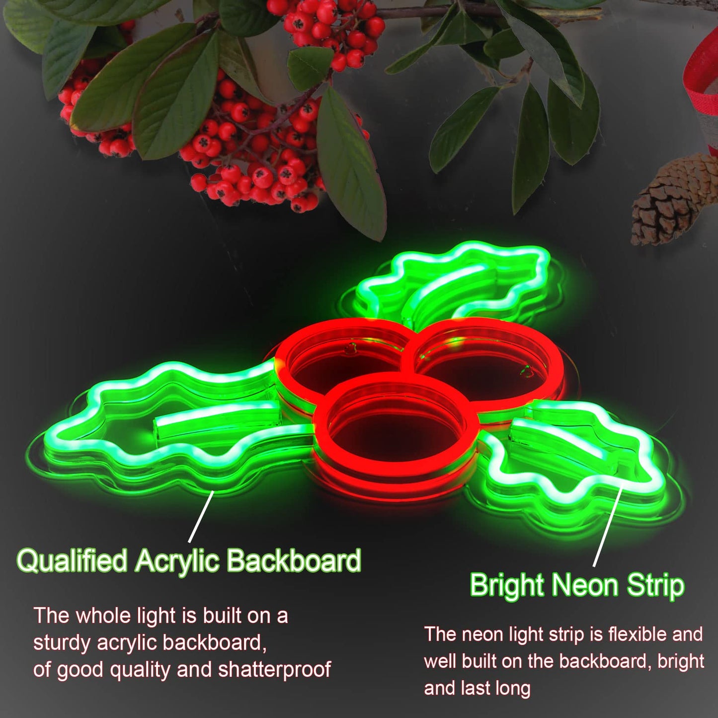 Christmas Neon Signs for Wall Decor USB Operated Neon Art Decorative Lights for Home Office Bar Pub Club Party Supplies Gift Idea (Holly)