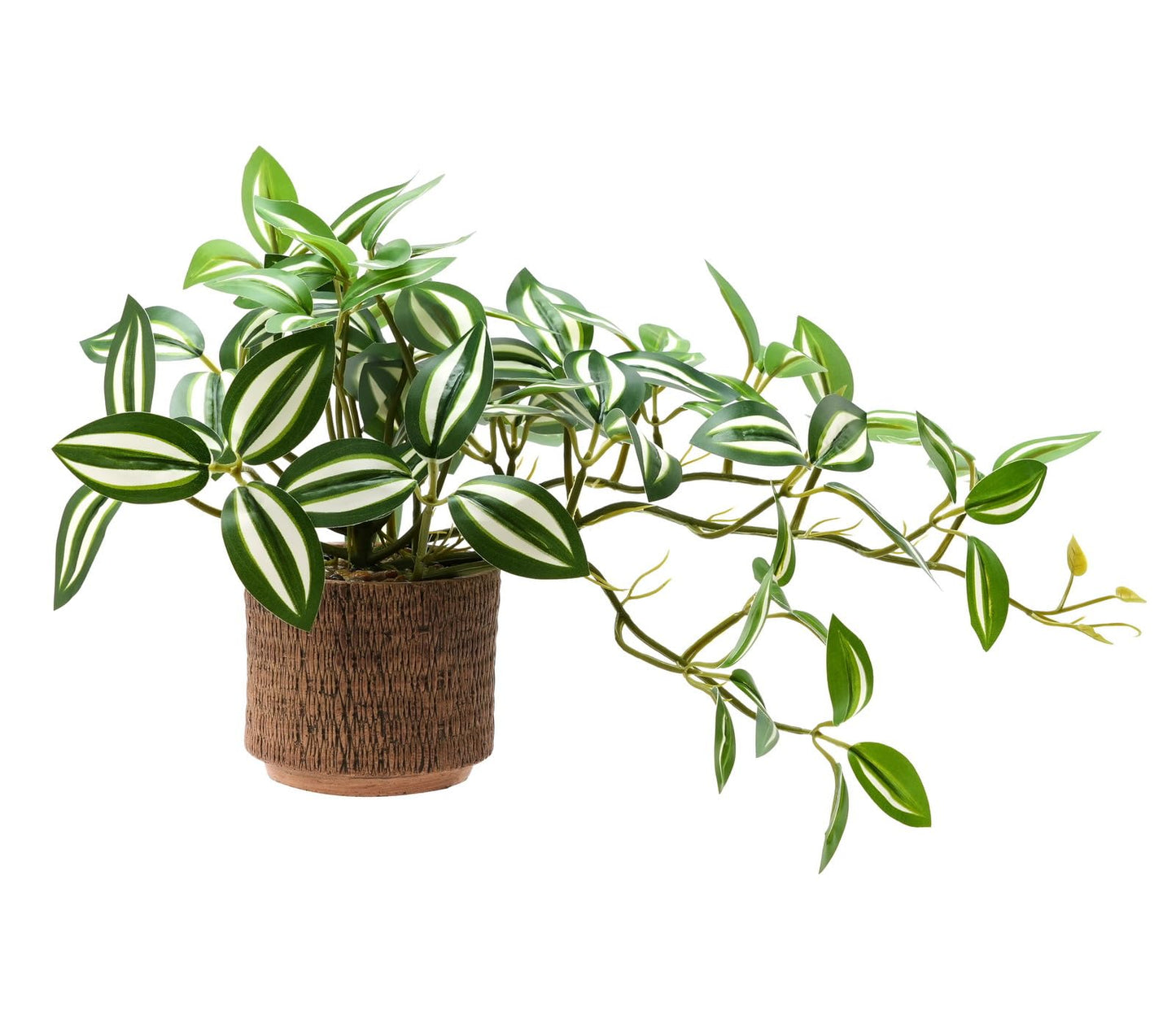 EZBOHO 8.5" Artificial Trailing Peperomia Vine in Textured Light Coffee Ceramic Pot 12" Wide Lifelike Faux Round-Leaf Plant for Indoor Home Office Desk Shelf Bathroom Decor