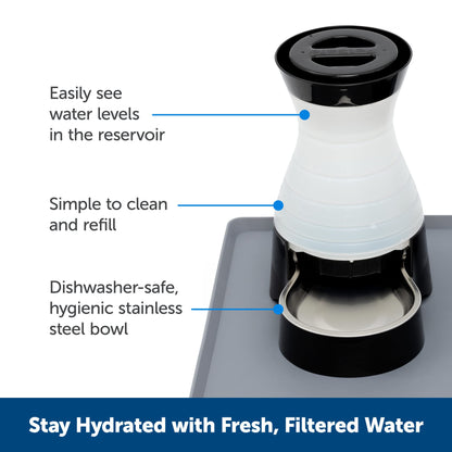 PetSafe Healthy Pet Water Station - Small, 64 oz Capacity - Gravity Pet Water Fountain, Automatic Cat Water Fountain, Dog Water Fountain, Water Dispenser - Removable Stainless Steel Bowl Included